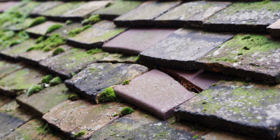 Looe roof repair costs